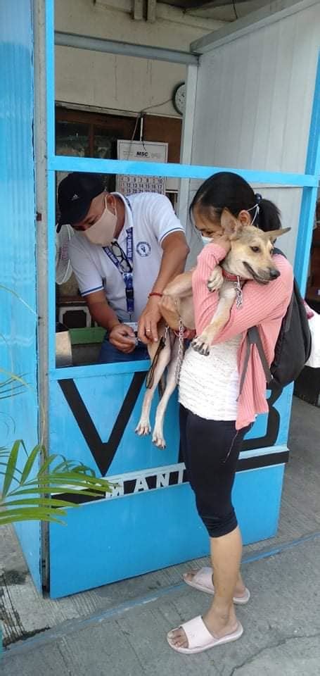 Mayor Honey urges pet owners to avail of free anti.